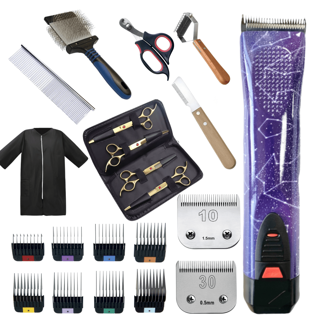 Hundfrisör student kit premium