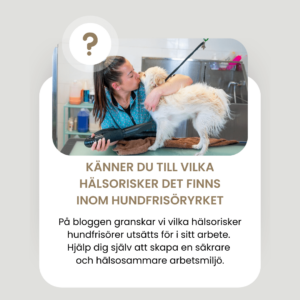 Med rätt kunskap och åtgärder kan hundfrisörer förebygga arbetsrelaterade skador och hälsorisker - Ergonomi för hundfrisörer
