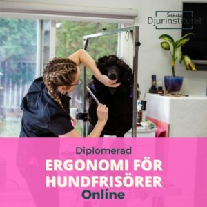 Ergonomi för hundfrisörer - Hållbar kropp och karriär - Lär dig att förebygga skador och få en hållbar karriär inom yrket